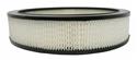 ACDelco Gold Engine Air Filter Elements 06421746