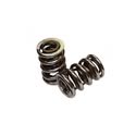 AFR Replacement Valve Springs 8031-16