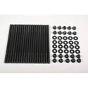 ARP Pro Series Cylinder Head Studs 256-4202