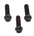 Click here for more information about Brian Tooley Racing BTR24835-3 - BTR Camshaft Bolt Kits Click here for more information about Brian Tooley Racing BTR24835-3 - BTR Camshaft Bolt Kits