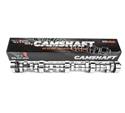 BTR Camshafts BTR-PDSSTAGE1TQ