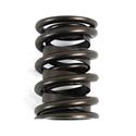 COMP Cams Valve Springs 26929-16