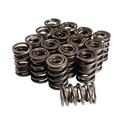 COMP Cams G2™ Valve Springs 26929-16