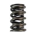 COMP Cams G2™ Valve Springs 26953-16