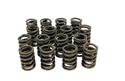 COMP Cams Valve Springs 942-16