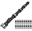 COMP Cams Magnum Hydraulic Cam and Lifter Kits CL12-212-2