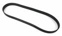 Continental OE Technology Series Multi-V Belts 4080450