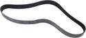 Continental OE Technology Series Multi-V Belts 4120645F