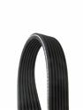 Continental OE Technology Series Multi-V Belts for 1997-2000 EUROVAN - D4070550