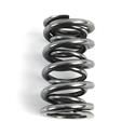 Cam Motion Valve Spring Kits VSK142201