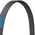 Dayco Poly Rib Serpentine Belts 5060335