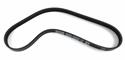 Dayco Poly Rib Serpentine Belts 5050325