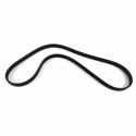 Dayco Poly Rib Serpentine Belts 5050395