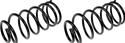 Dorman Premium Chassis Coil Springs for 2004-2013 IMPALA, 2005-2009 LACROSSE - 566-215