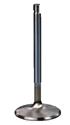 Dart Severe-Duty Stainless Steel Valves 21322080