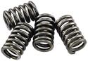 EBC CSK Clutch Springs CSK16