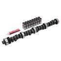 Edelbrock Performer RPM Cam and Lifter Kits for 1981-1986 PANTERA - 7168