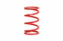 Eibach 8 Inch Coilover Spring 0800.250.0300