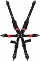 G-FORCE Pro Series Camlock  6-Point Harness 7623BK