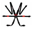 G-FORCE Endurance 3+2 PD FIA  6-Point Harness 7623BK30
