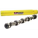 Howards Cams Hydraulic Roller Camshafts 180245-10