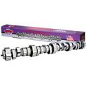 Howards Cams Big Mama Rattler Camshafts 198075-09