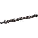 Howards Cams Hydraulic Flat Tappet Camshafts 310031-12