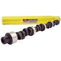 Howards Cams Rattler Camshafts 418081-09