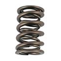 Howards Cams Performance Street/Strip Valve Springs 98632-1
