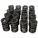 Howards Cams Performance Street/Strip Valve Springs 98825