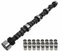 Howards Cams Hydraulic Flat Tappet Camshaft and Lifter Kits CL110991-08