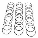 Hastings Premium Ductile Ring Sets 2D4845