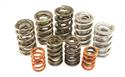 Isky Valve Springs 235D