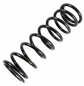 Landrum DRS Series Front Coil Springs DRS18-200-5.5