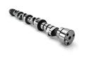 Lunati Voodoo Camshafts 10120704