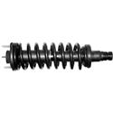 Monroe Quick-Struts 171341