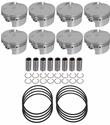 RaceTec AutoTec Forged Pistons 1000289