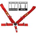 RCI Camlock  5-Point Harness 9210CB