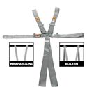 RCI Platinum Series Racing  6-Point Harness 9210PL