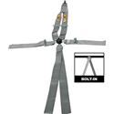 RCI Platinum Series Racing  5-Point Harness 9211CPL