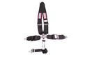 RJS Classic Series Camlock  5-Point Harness 1029301