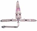 RJS Classic Series Camlock  5-Point Harness 1029307