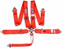 RJS Classic Series Camlock  5-Point Harness 1034104