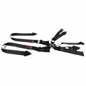 RJS Classic Series Camlock  5-Point Harness 1034401