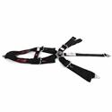 RJS Classic Series Camlock  5-Point Harness 1036501