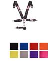 RJS Classic Series Camlock  6-Point Harness 1065010