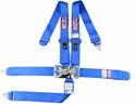 RJS Classic Series Latch and Link  5-Point Harness 1128603
