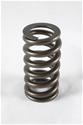 PAC Racing 1200 Series Valve Springs PAC-1214