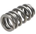 PAC Racing RPM Series Valve Springs PAC-1218X-16