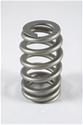 PAC Racing RPM Series Valve Springs PAC-1219X
